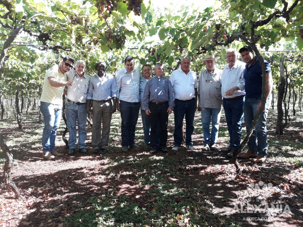 Governo incentiva plantio de uvas no município